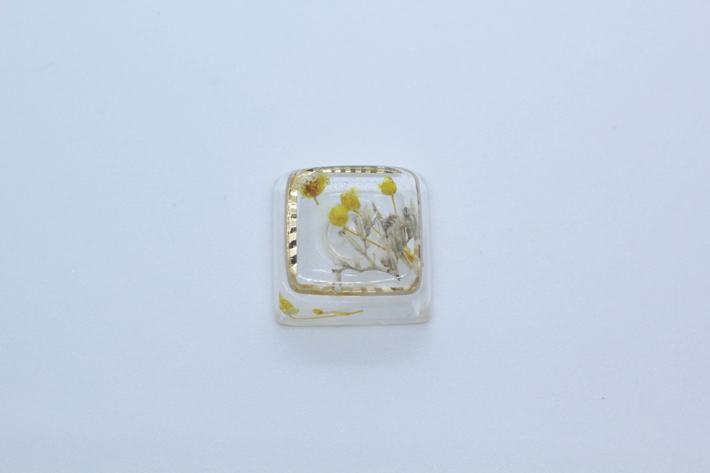 キーキャップ Series:Botany Gold frame
