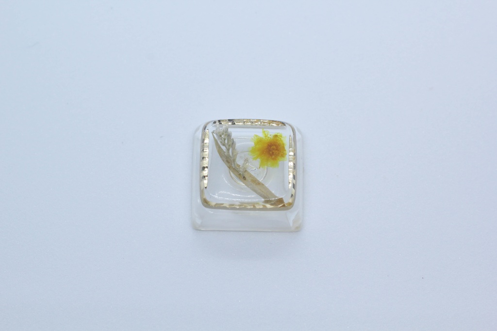キーキャップ Series:Botany Gold frame