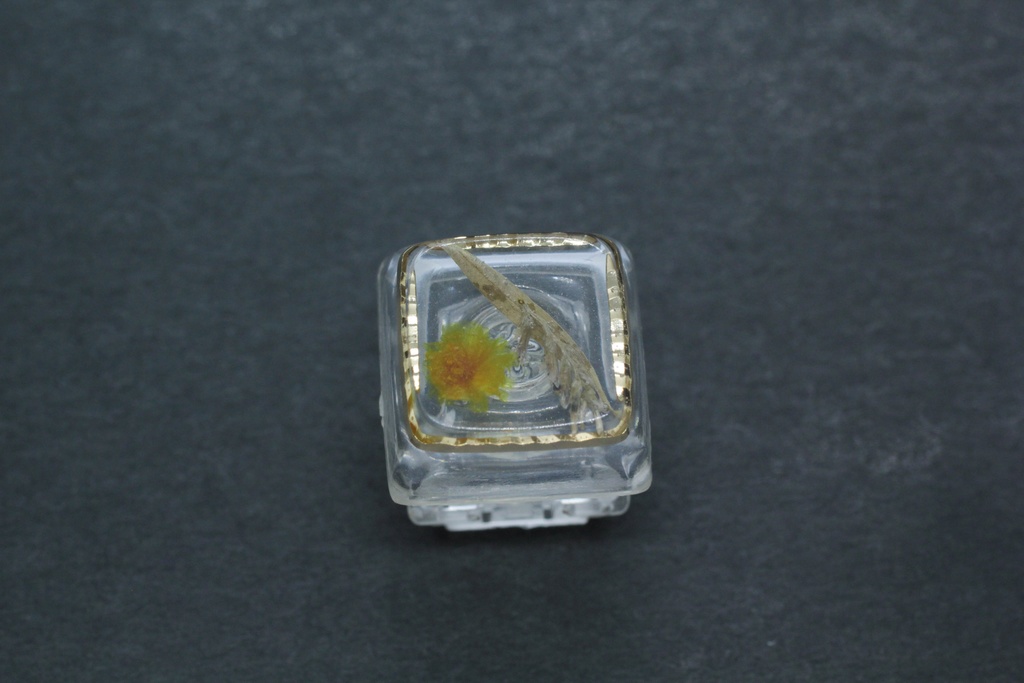 キーキャップ Series:Botany Gold frame