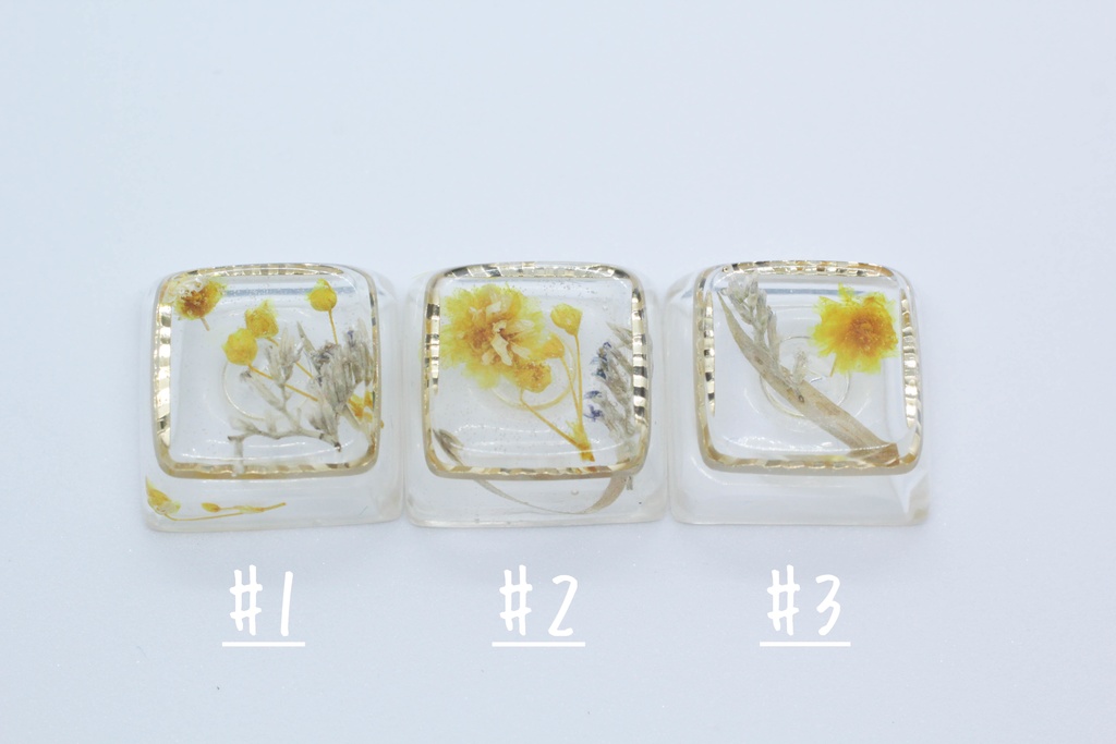 キーキャップ Series:Botany Gold frame