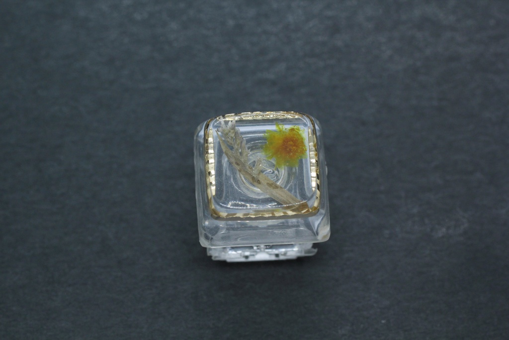 キーキャップ Series:Botany Gold frame