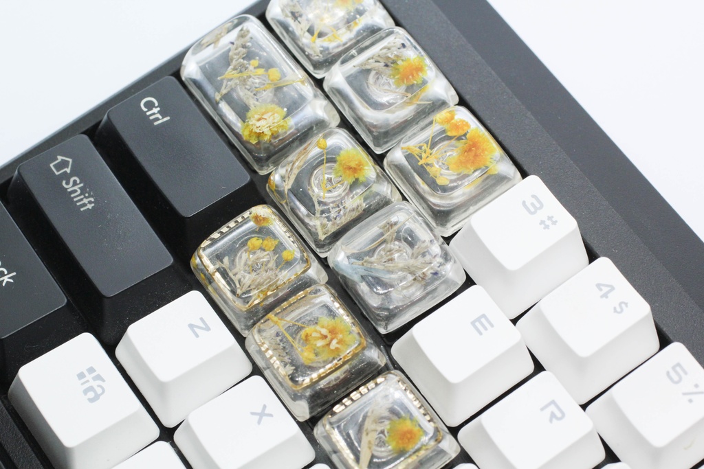 キーキャップ Series:Botany Gold frame