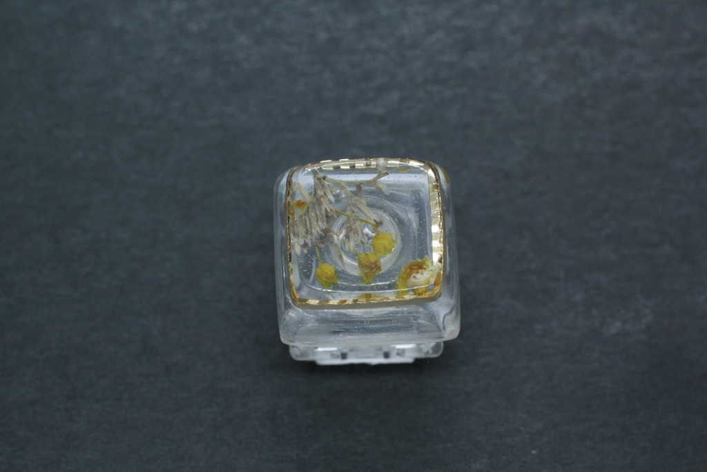 キーキャップ Series:Botany Gold frame