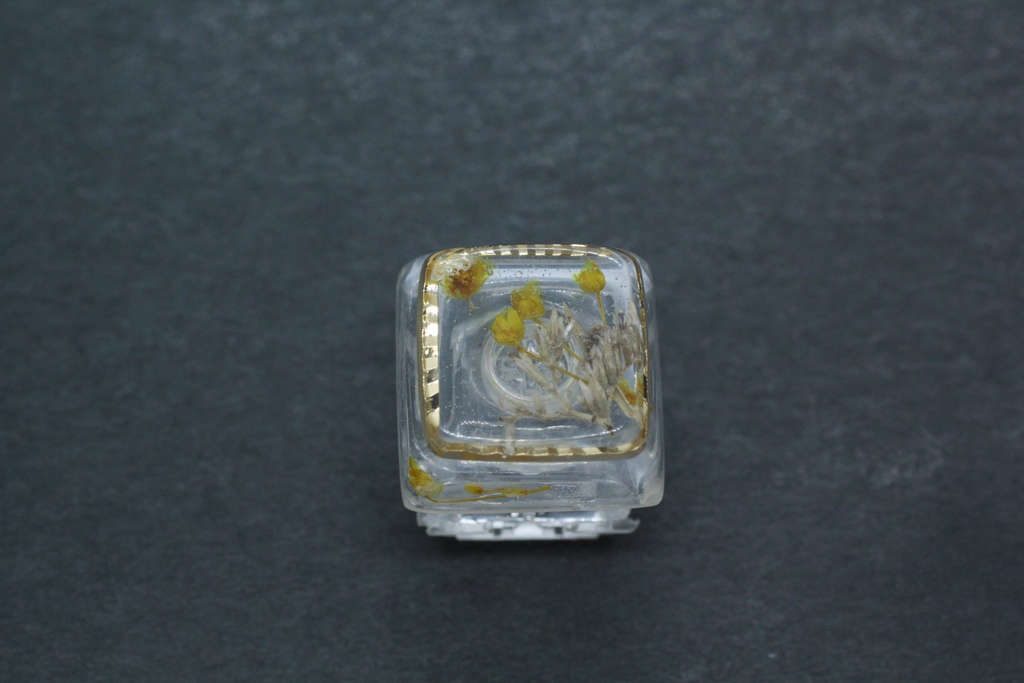 キーキャップ Series:Botany Gold frame