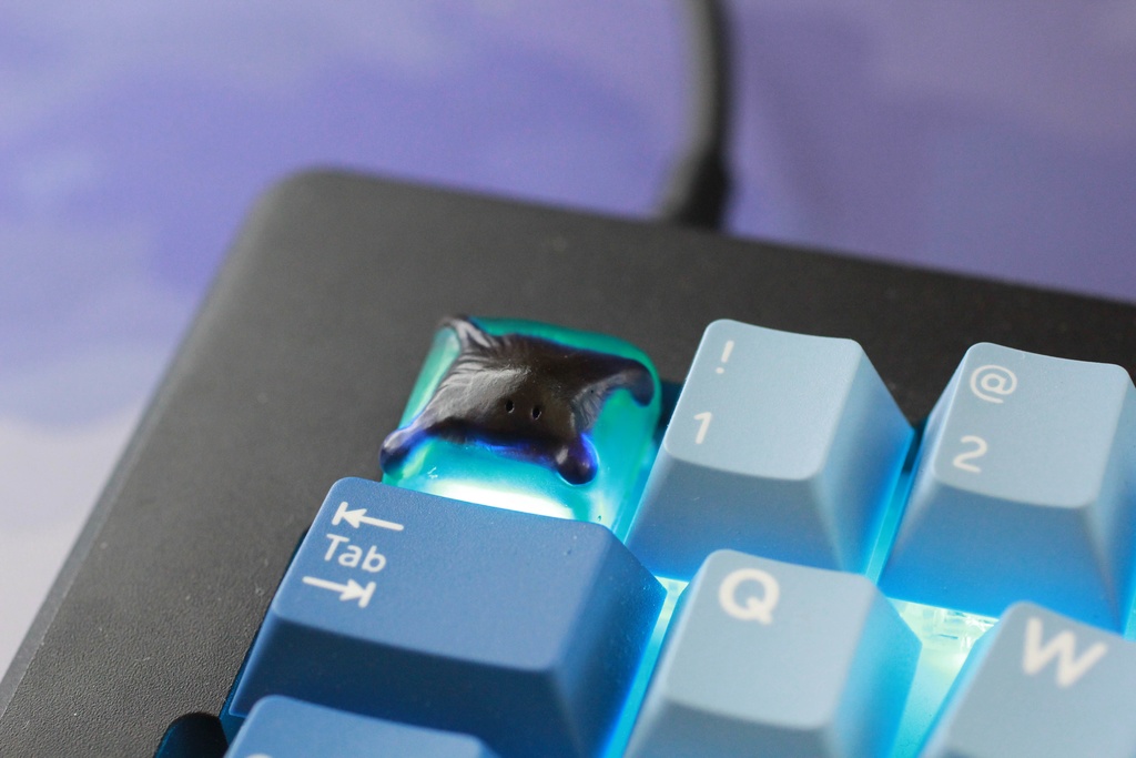 変形菌キーキャップ