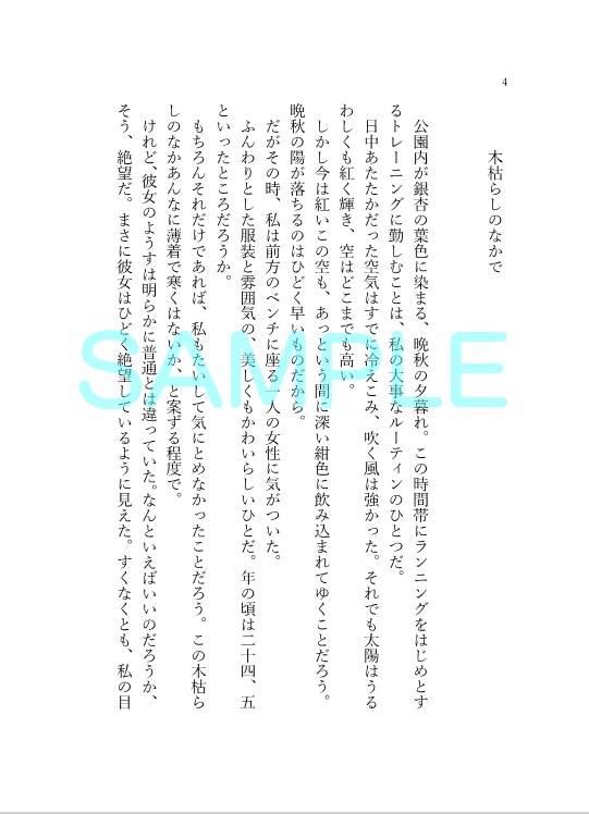 いつか流星の下で