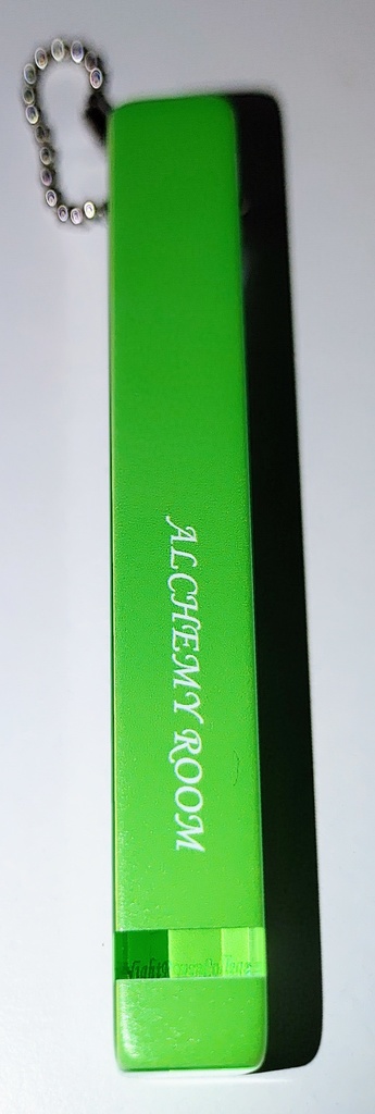 仔犬の本分_ルームキー