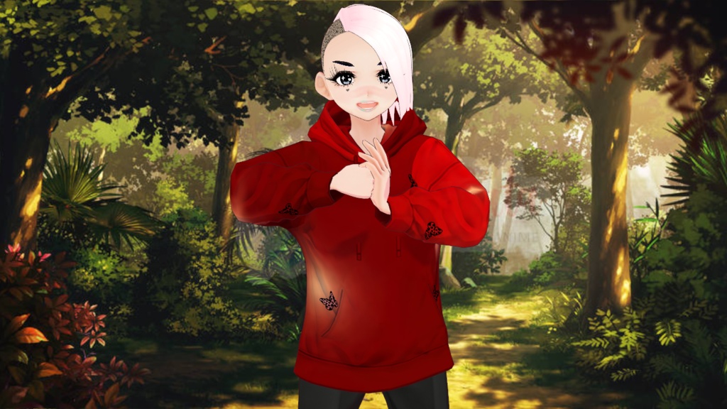 Hoodies 4 Pack - Red Hoodies Pack - Clothes Set of 4 Tops