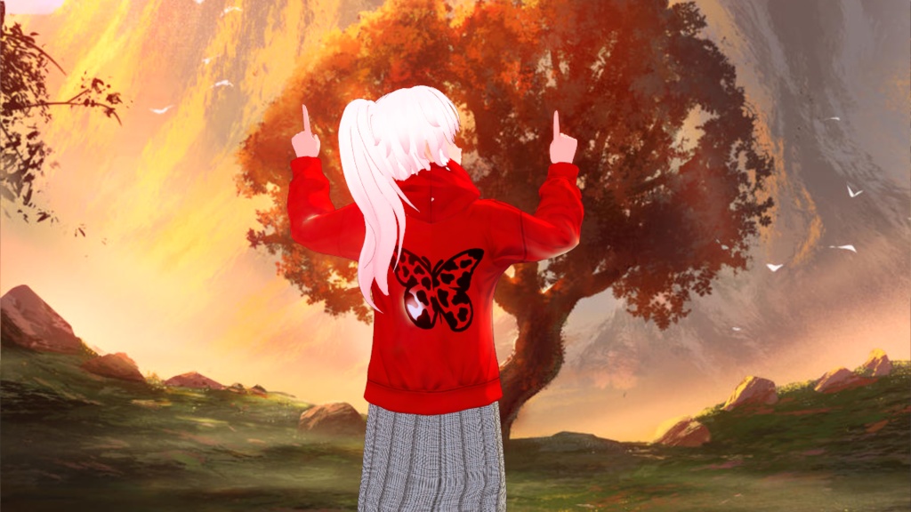 Hoodies 4 Pack - Red Hoodies Pack - Clothes Set of 4 Tops