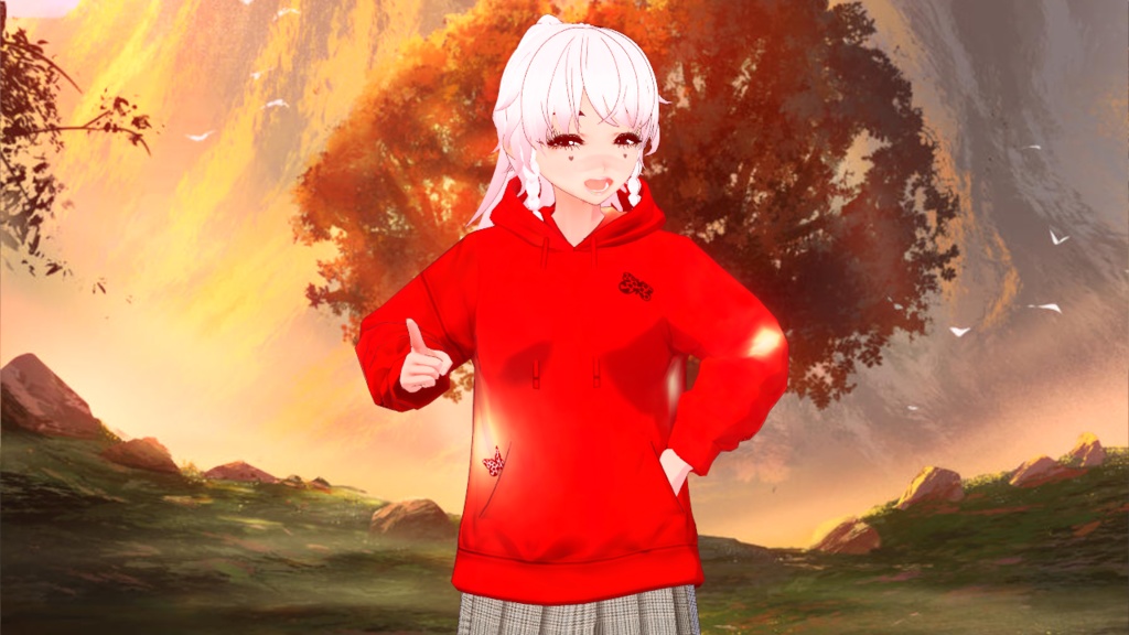 Hoodies 4 Pack - Red Hoodies Pack - Clothes Set of 4 Tops