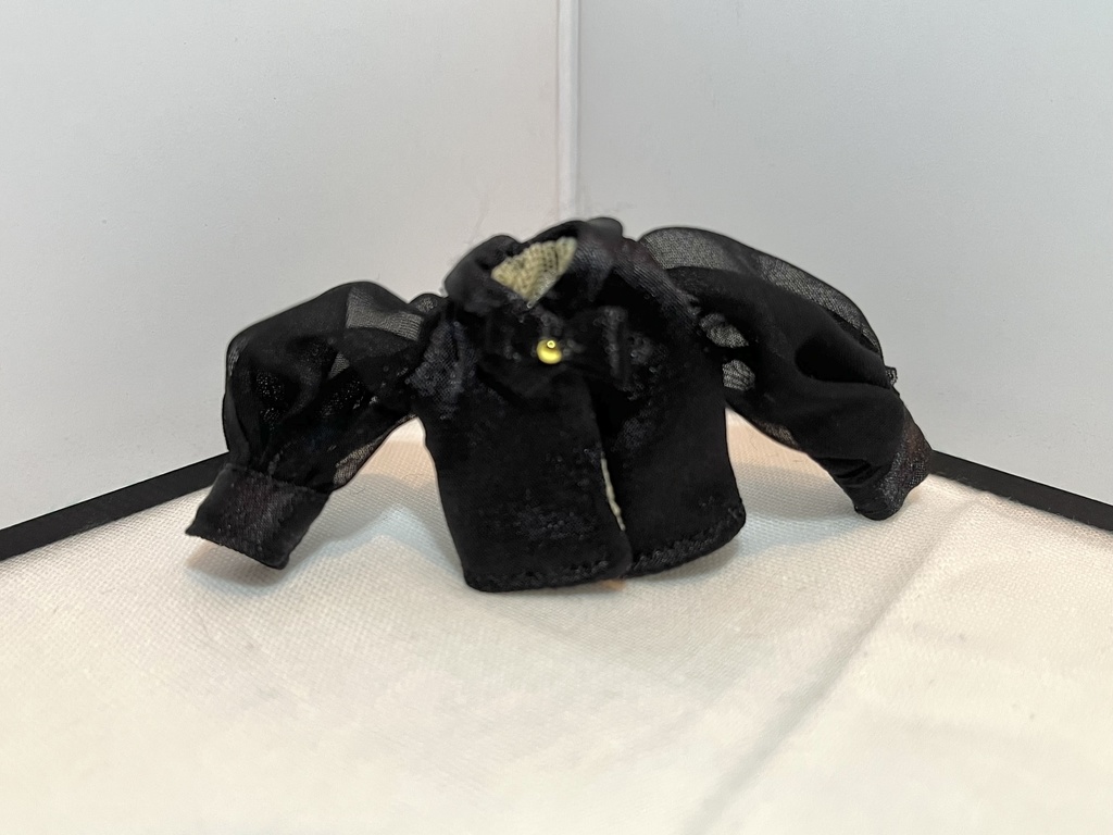 【サンプル品】シースルーブラウス