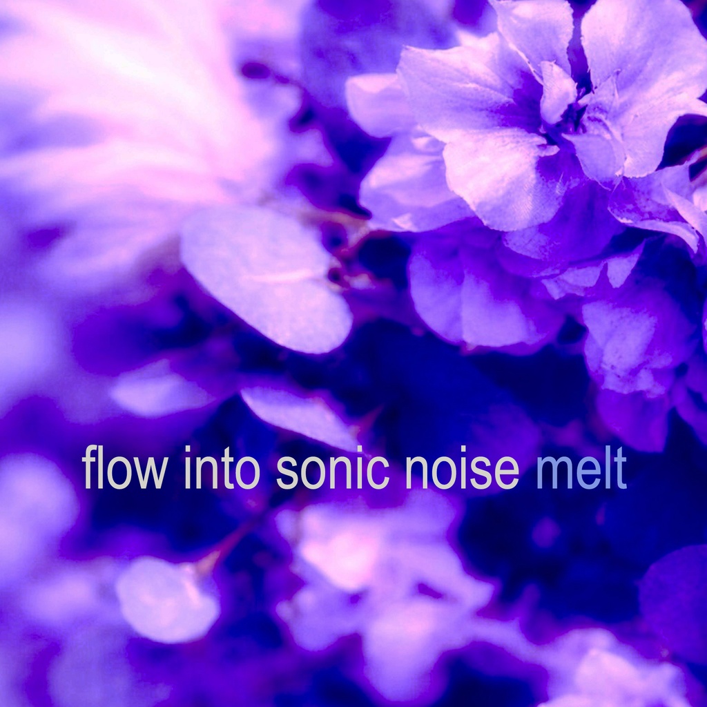 melt 「flow into sonic noise (2026 Mix)」【カセット】