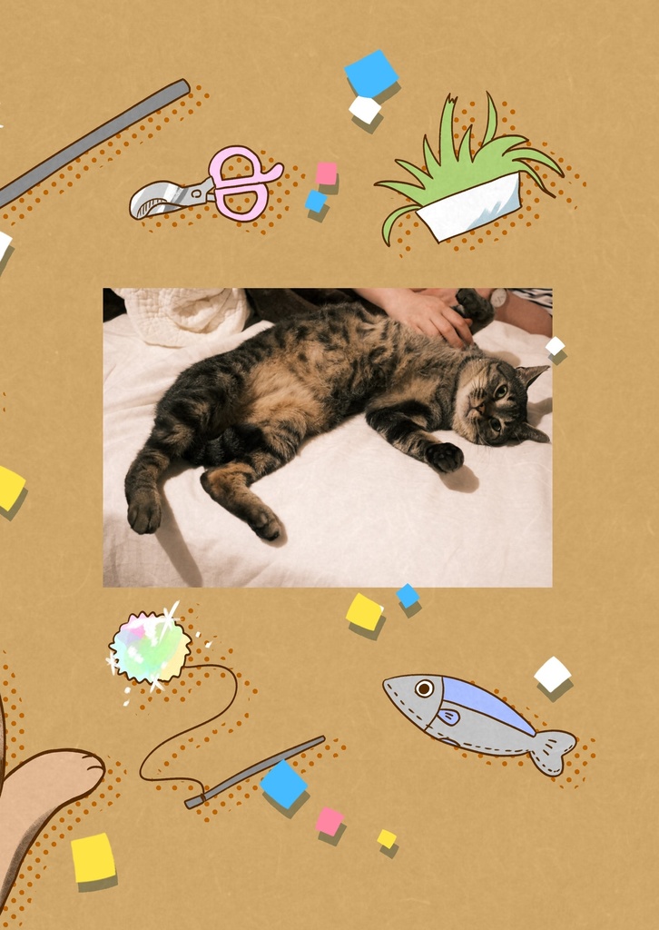 【New!】 こちら!うっかり八兵衛対策室!