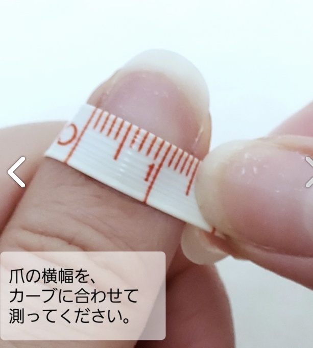 ネイルチップ~鬼滅の刃胡蝶しのぶver~