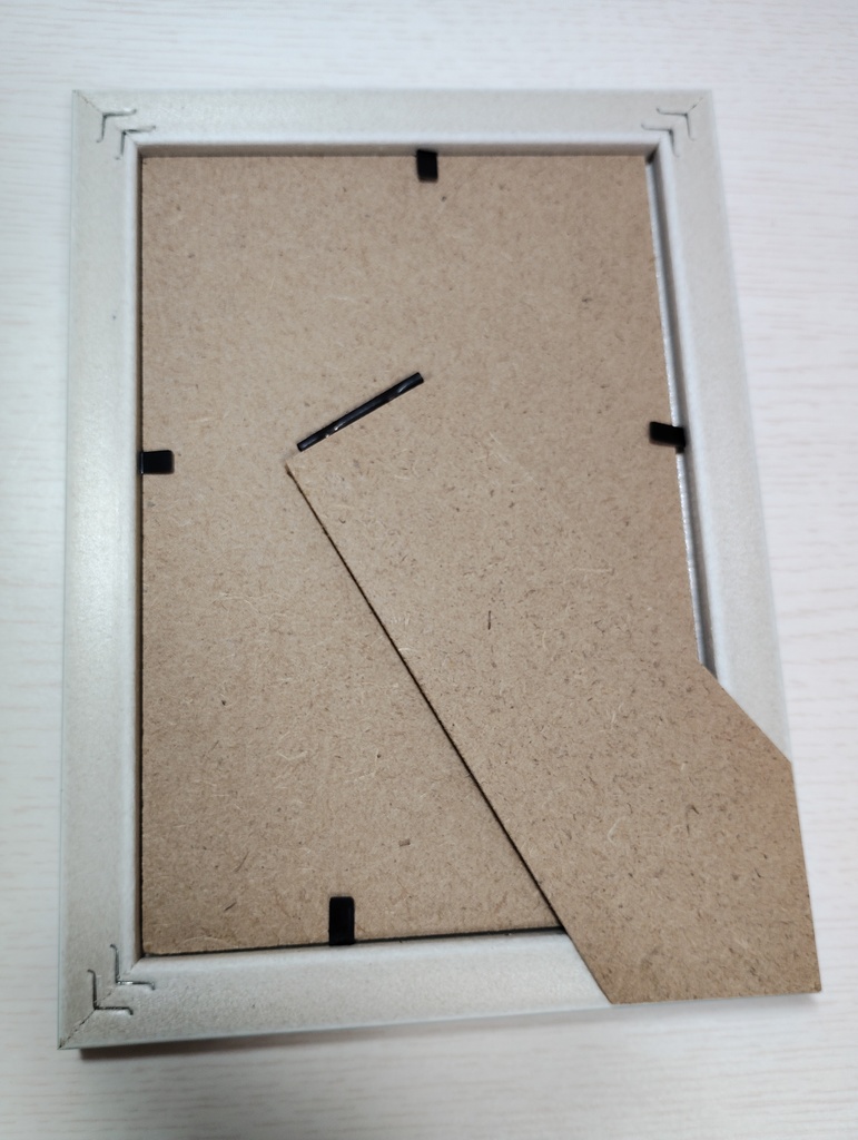 【額装原画】海と花