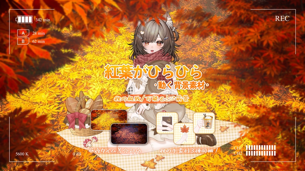 【動く背景】🍁紅葉がゆらゆら🍂めっちゃ秋っぽい!/動く背景素材/配信用背景/VTuber向け/PV背景プラン/動画素材/配信部屋♡