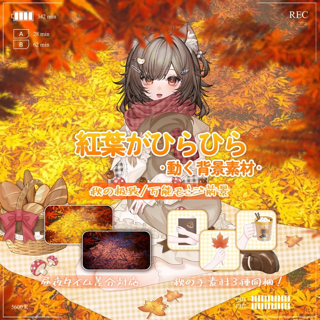 【動く背景】🍁紅葉がゆらゆら🍂めっちゃ秋っぽい！／動く背景素材／配信用背景/VTuber向け/PV背景プラン/動画素材/配信部屋♡