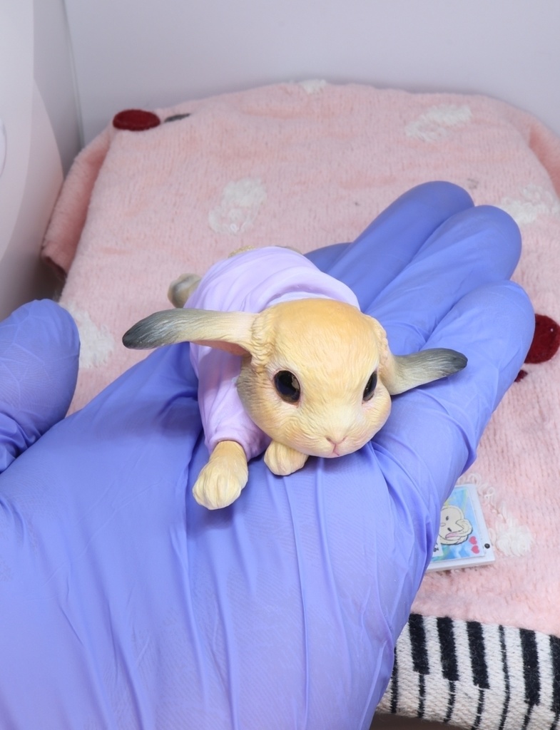 巣ごもりウサギ ガレージキット 未塗装 未組み立て ガレージキット