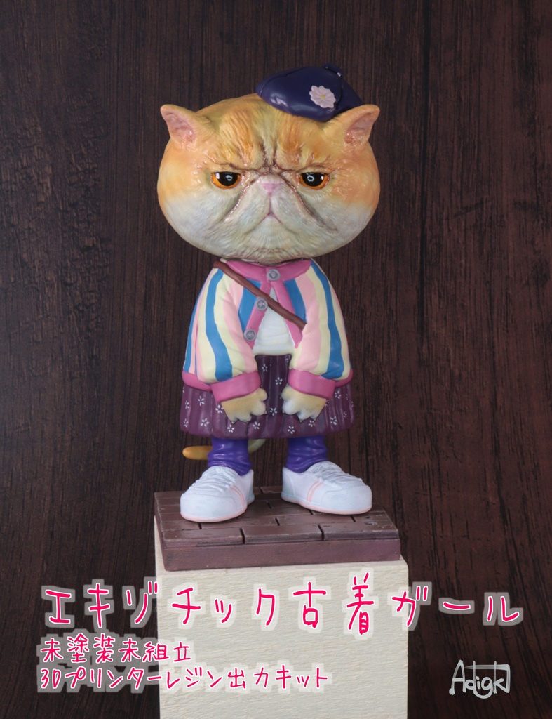 エキゾチック古着ガール 未塗装未組立 ガレージキット