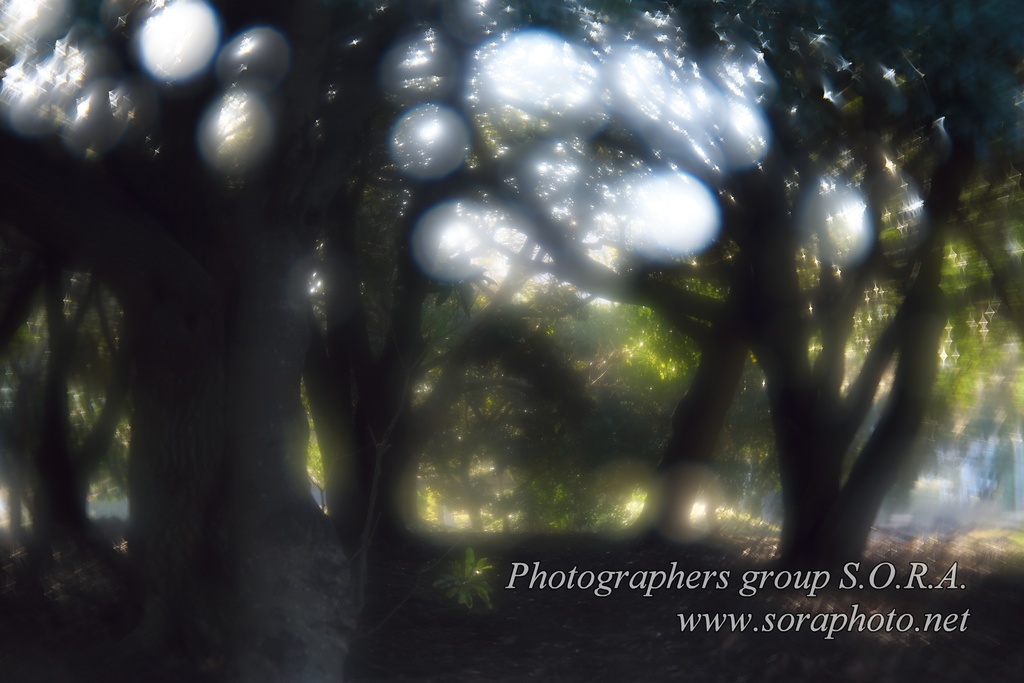 *販売終了*【受注生産品】Primo-Miauor-Q 85mm 1:3.2 (自作レンズ完成品)