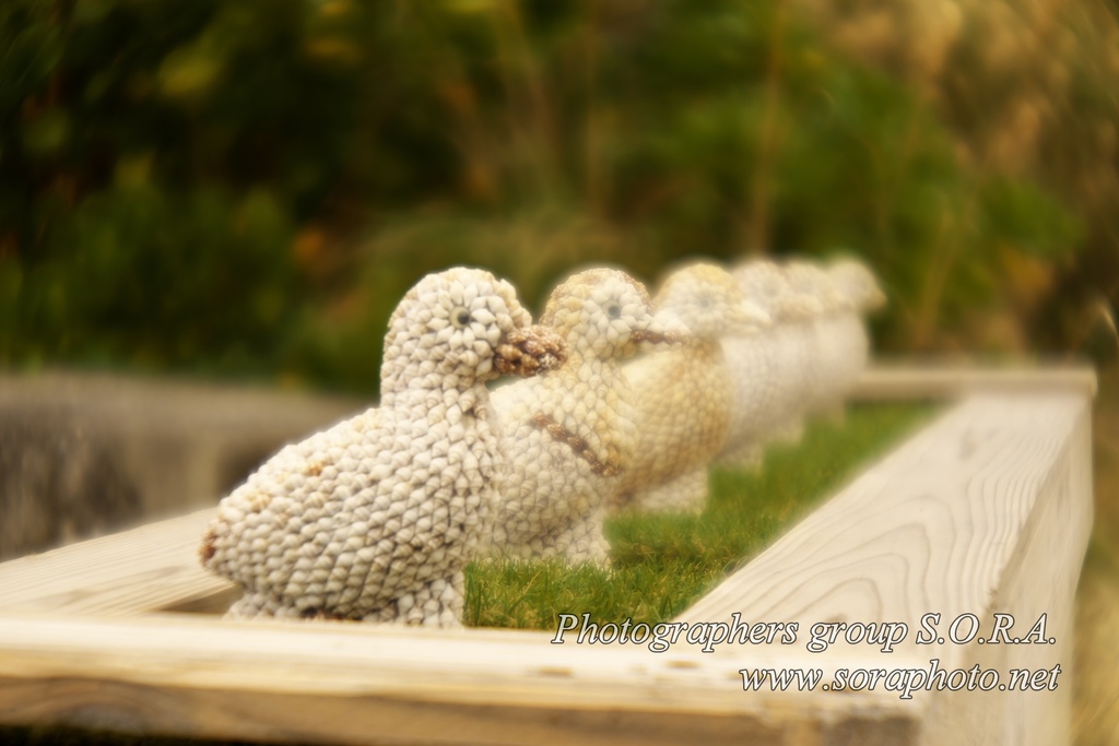 *販売終了*【受注生産品】Primo-Miauor-Q 85mm 1:3.2 (自作レンズ完成品)