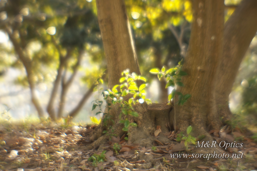 *販売終了*【受注生産品】Miauor-T 150mm 1:5.6 (自作レンズ 組み立てキット品/完成品)