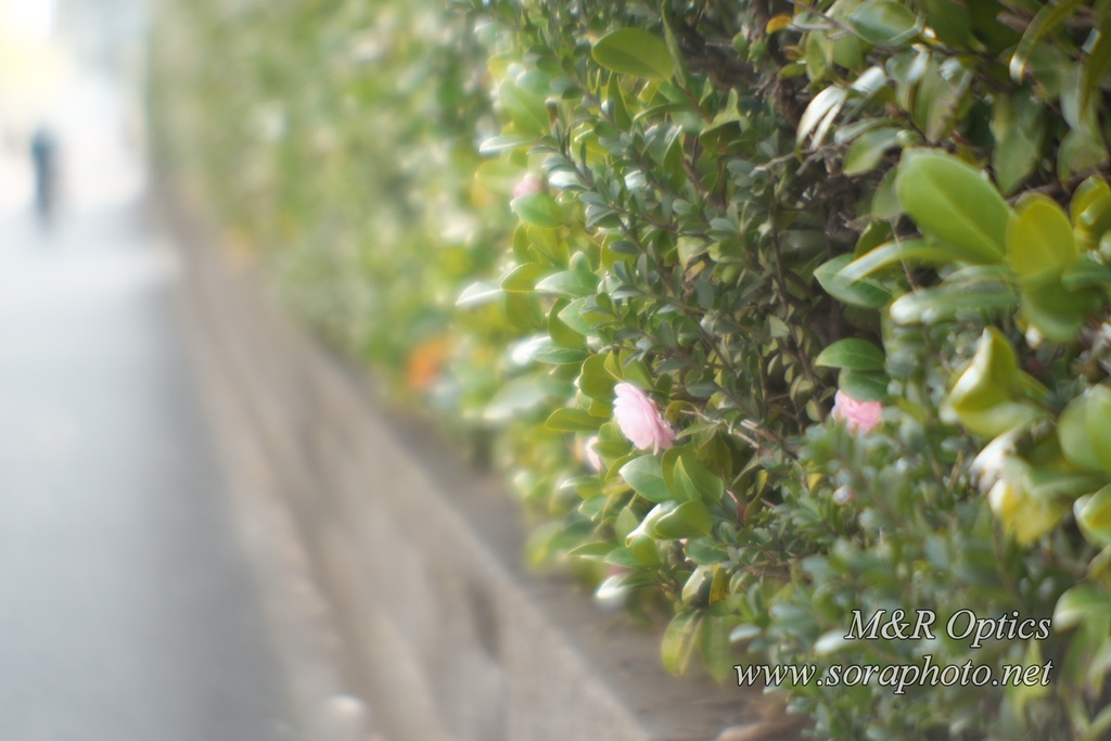 *販売終了*【受注生産品】Miauor-T 150mm 1:5.6 (自作レンズ 組み立てキット品/完成品)