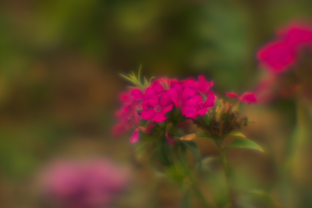 【受注生産品】Miauor-D 85mm 1:2.8 (自作レンズ完成品)