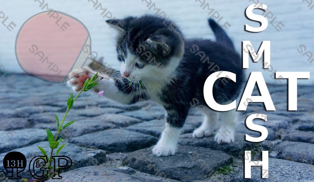 ネコ卓球Tシャツ-白