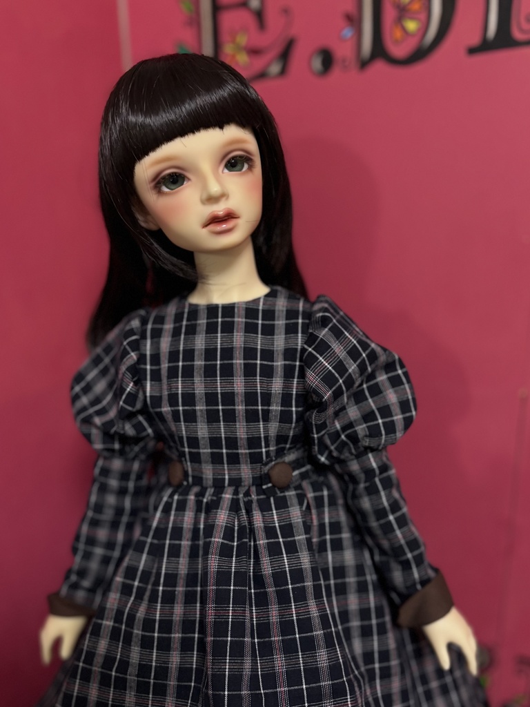 チェックシリーズ