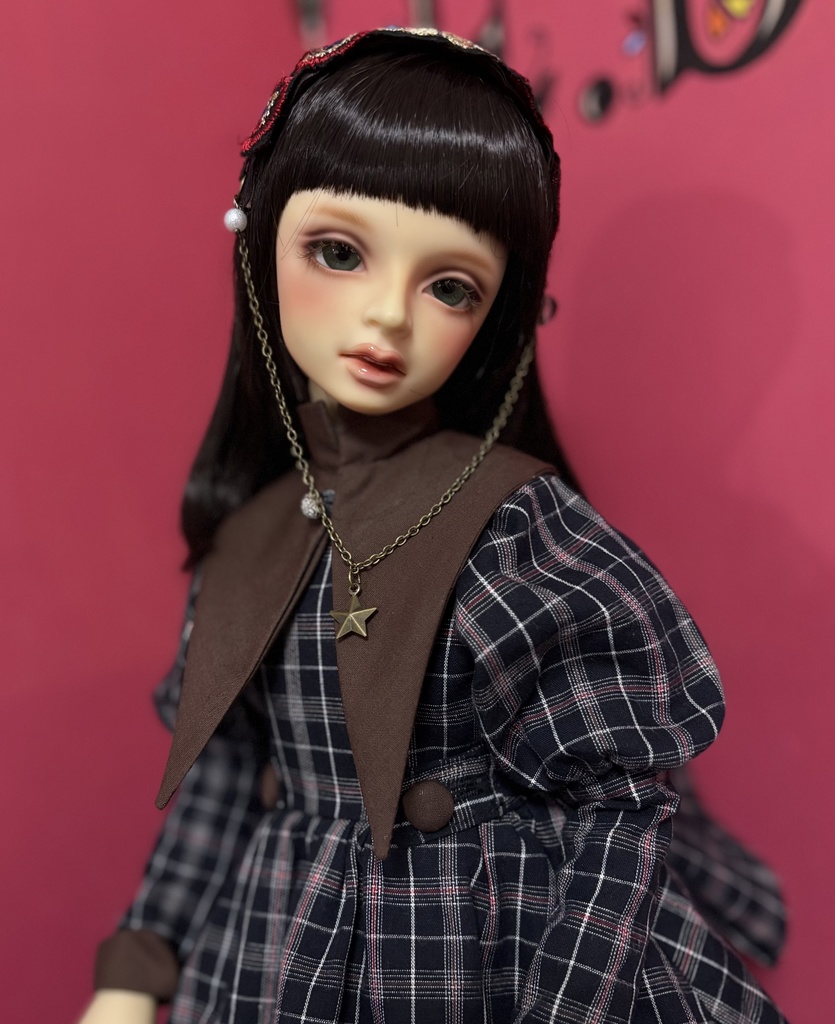 チェックシリーズ