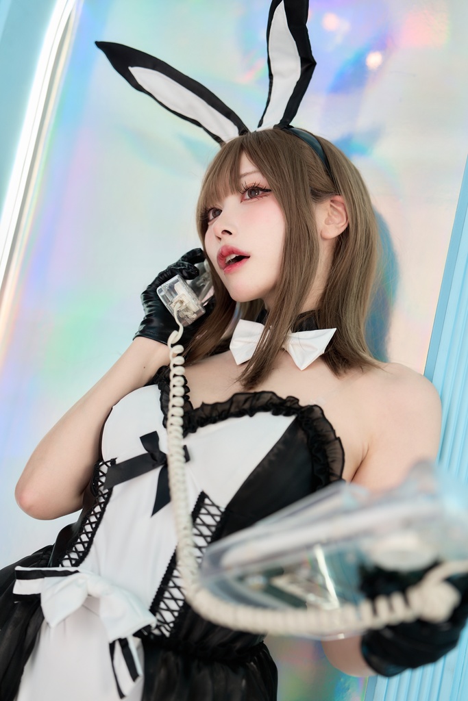 新刊セット バニー&メイド