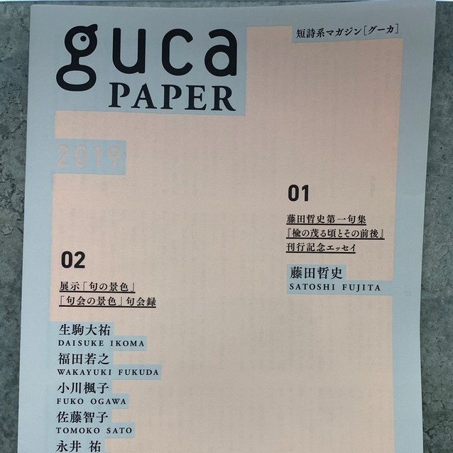 guca paper 2019