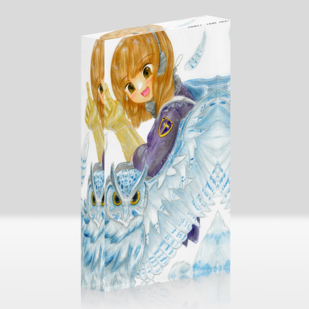 アクリルブロック　雪フクロウ
