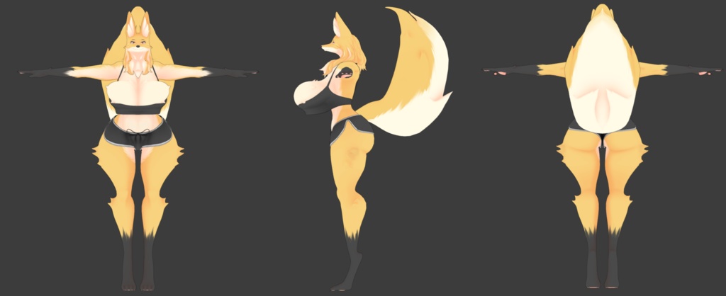 おおきめのキツネのお姉さん