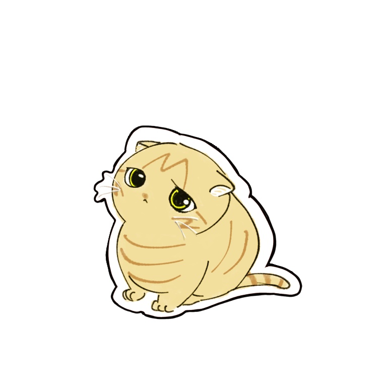 猫さんNo1