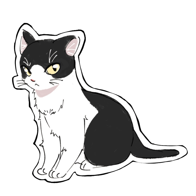 リアルめの猫さんNo1