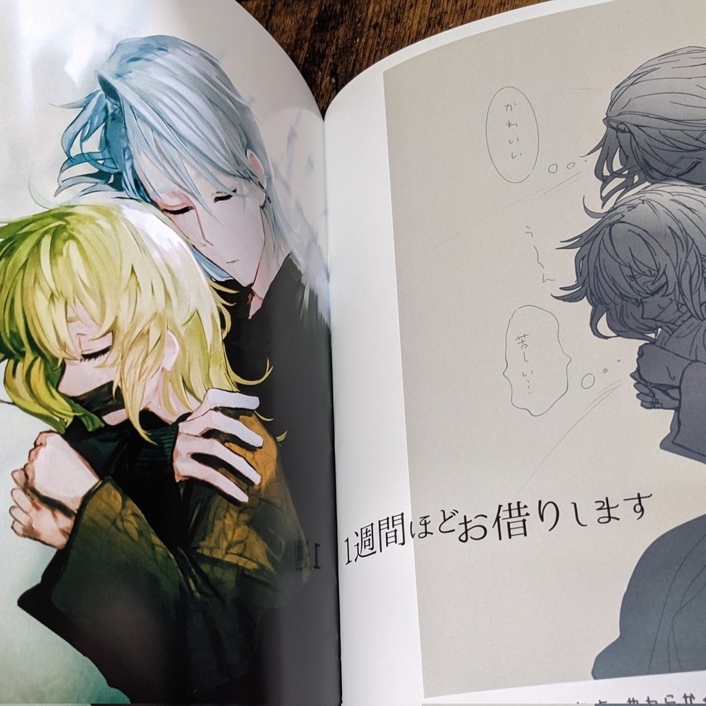 【訳あり品】1週間ほどお借りします。