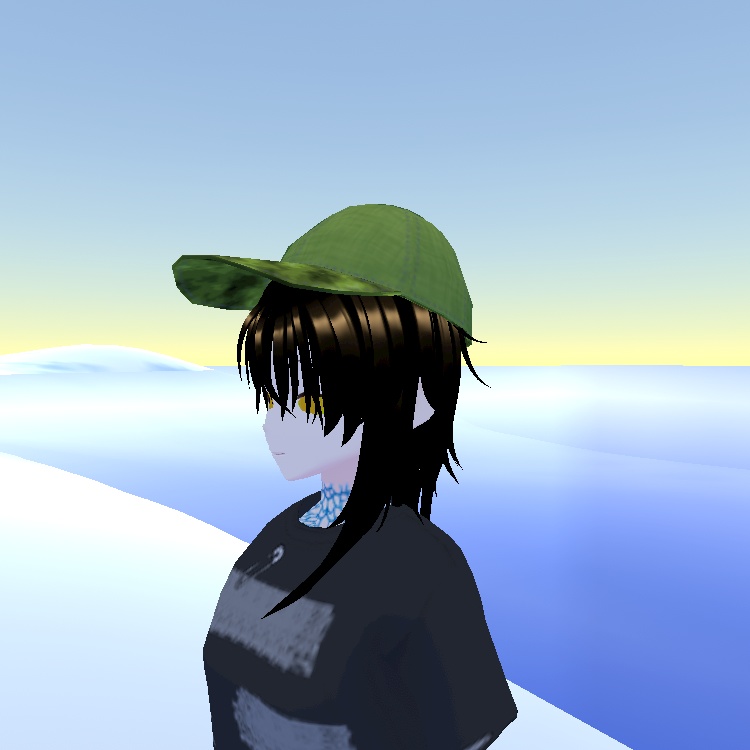 3D キャップ アクセサリー 帽子 迷彩