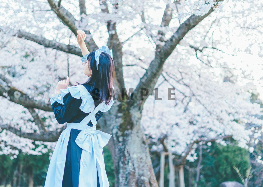 【写真集】メイド「spring maid」