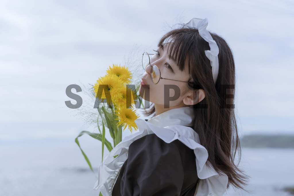 【写真集+DLデータ】メイド「summer maid」