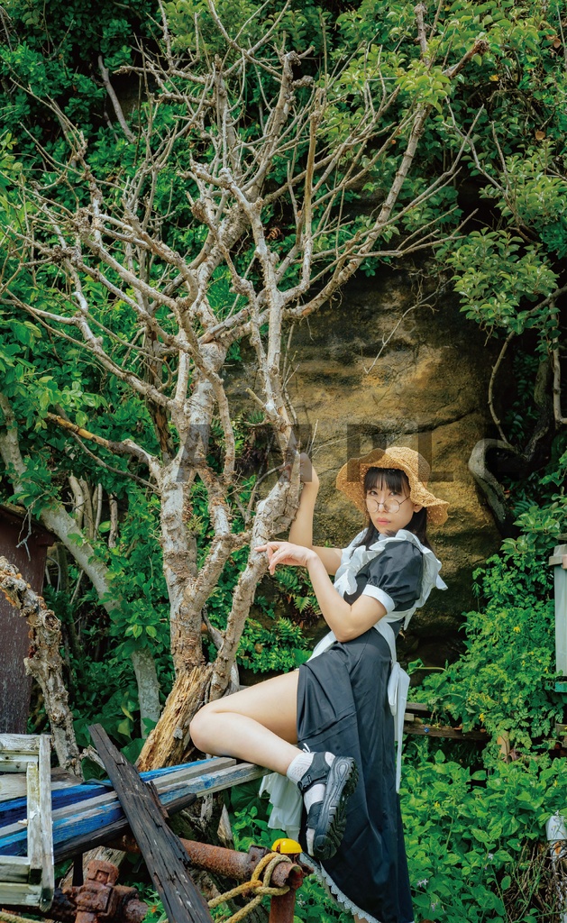 【写真集+DLデータ】メイド「summer maid」