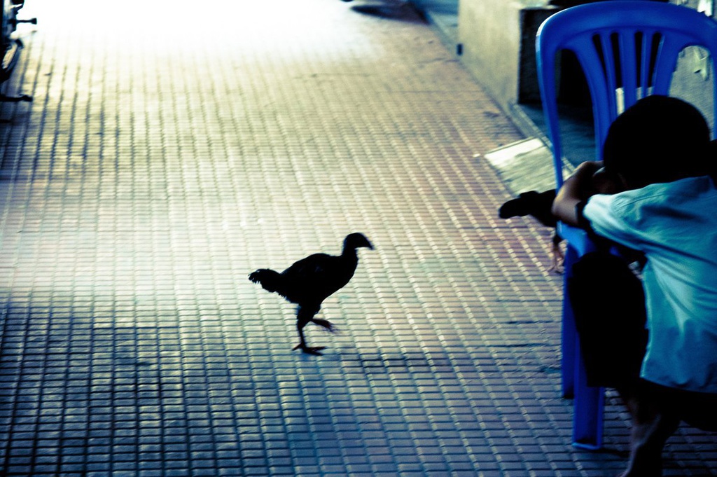 Good morning good news.