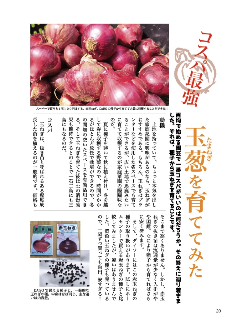 オタクの庭 2025夏 コスパと園芸