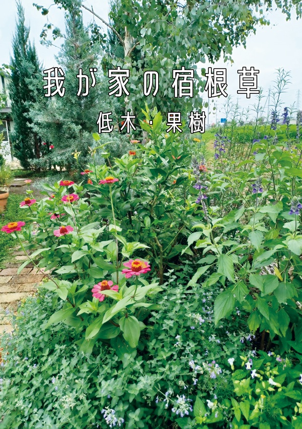 【会場限定】我が家の宿根草　低木・果樹