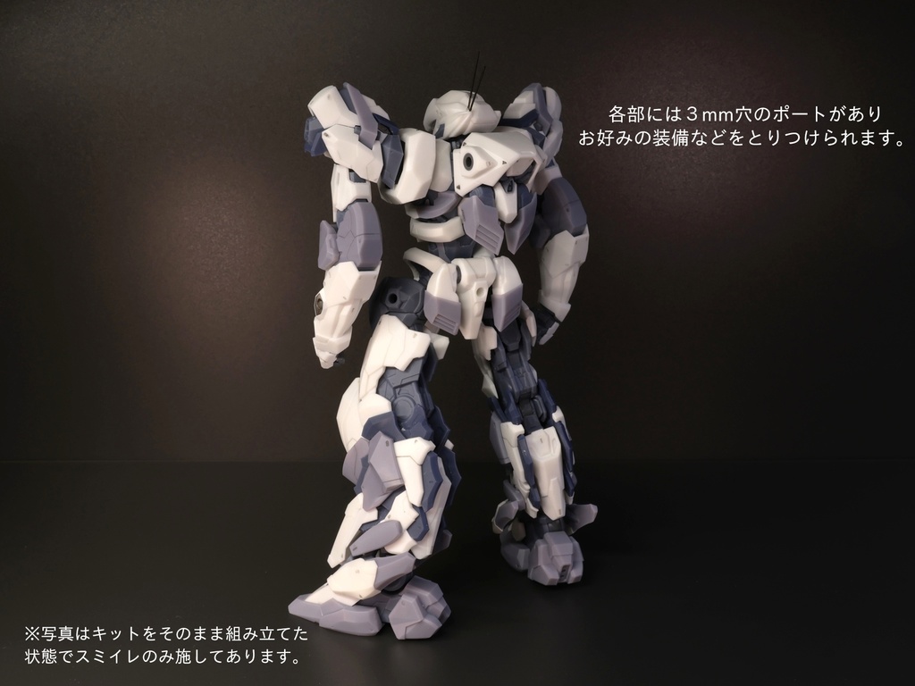 1/72 GTZ-001e 「ジェネシス」