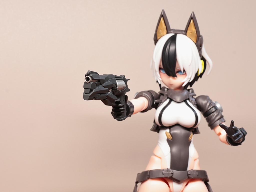 DZ-03E「アブソリュート」