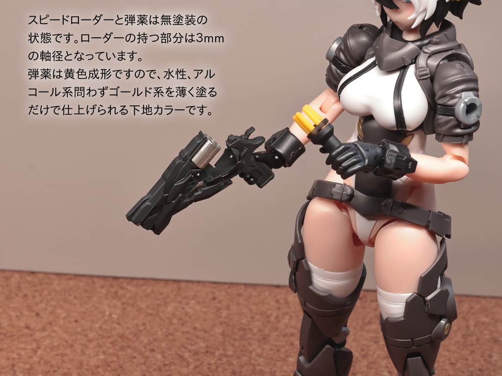 DZ-03E「アブソリュート」