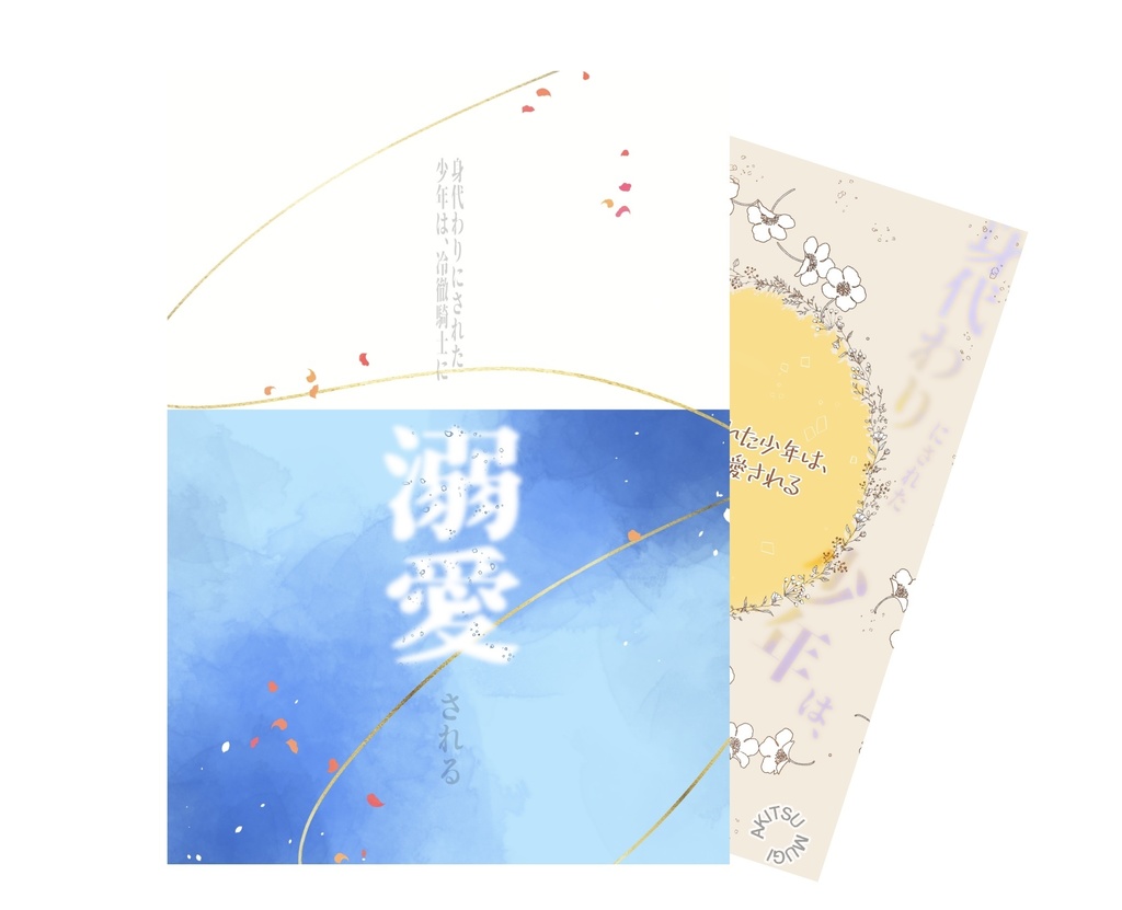 身代わりにされた少年は、冷徹騎士に溺愛される