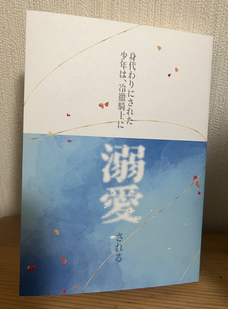 身代わりにされた少年は、冷徹騎士に溺愛される
